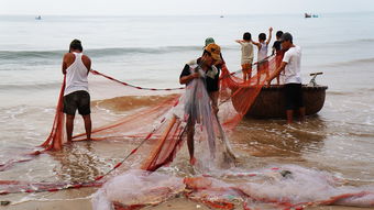 Tâm Hồn Vua: Chơi Cờ  第1张